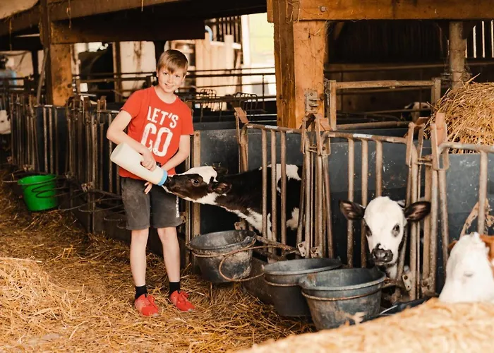 Lodge Alpes Mancelles - Parcel Tiny House - Tiny House Dans Ferme Au Coeur Des Alpes Mancelles Mae-9813 *